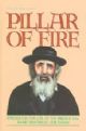 Pillar of Fire : Episodes in the Life of the Brisker Rav Rabbi Yehoshua Leib Diskin